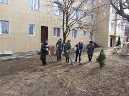 Сотрудники ЧДМШ №1 им. С.М.Максимова провели экологический субботник