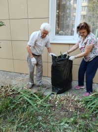 Музыканты взяли грабли в руки