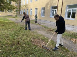 Музыканты взяли грабли в руки