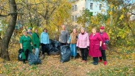 Состоялся городской субботник с участием музыкальной школы №1 им. С.М. Максимова.