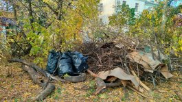 Состоялся городской субботник с участием музыкальной школы №1 им. С.М. Максимова.
