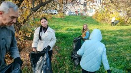 Состоялся городской субботник с участием музыкальной школы №1 им. С.М. Максимова.